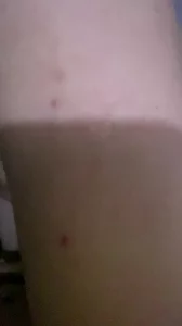 白嫩人妻小骚货主动吃奶